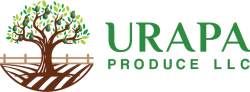urapa-logo
